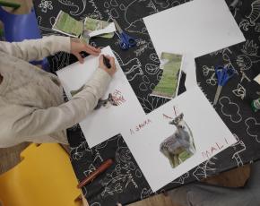 CA Knihy a písmena - rohatá a parohatá zvířata